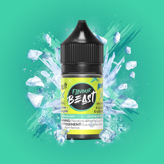 Flavour Beast E Liquid Extreme Mint (30ml)