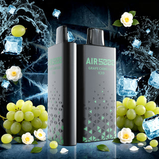 AIR5000 Grape Camellia Iced